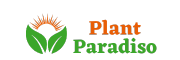 Plant Paradiso