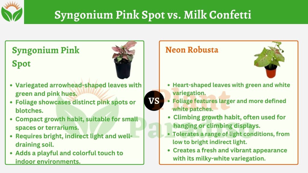 Syngonium Pink Spot vs. Milk Confetti