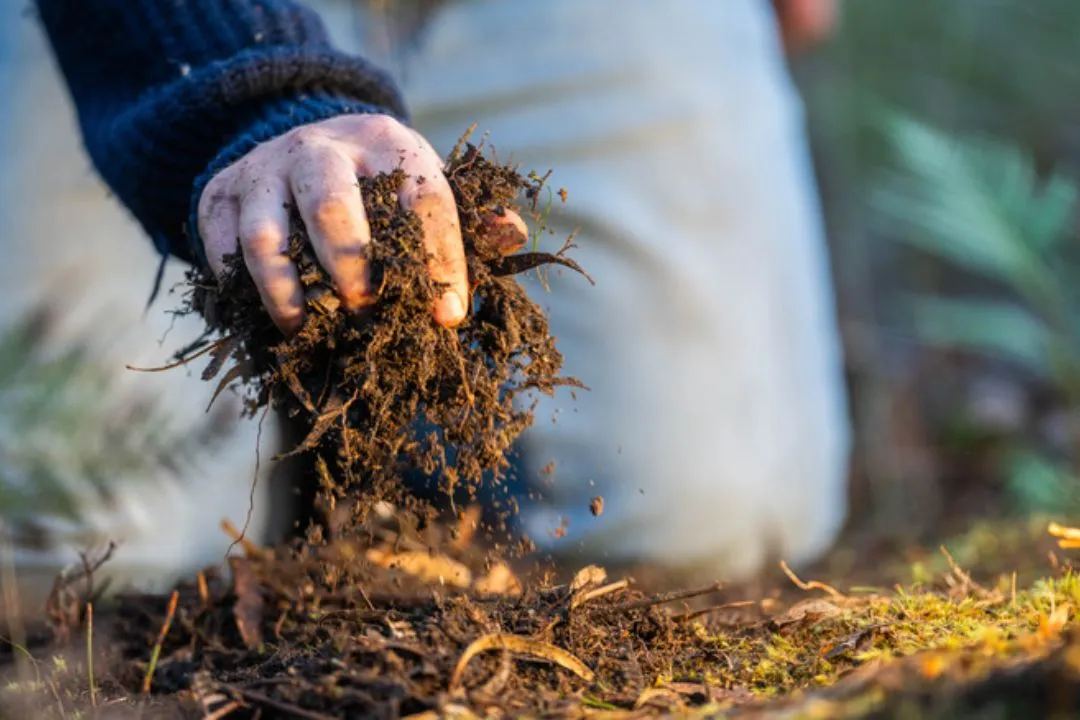 Adding Some Organic Matter is A Good Approach