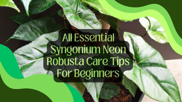 All Essential Syngonium Neon Robusta Care Tips For Beginners