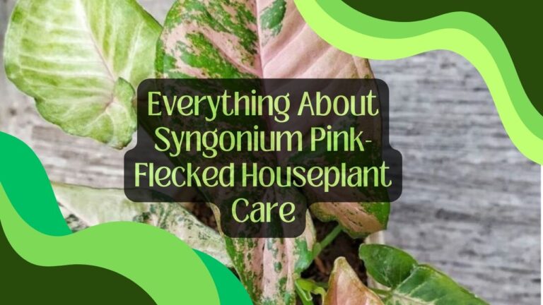 Everything About Syngonium Pink-Flecked Houseplant Care