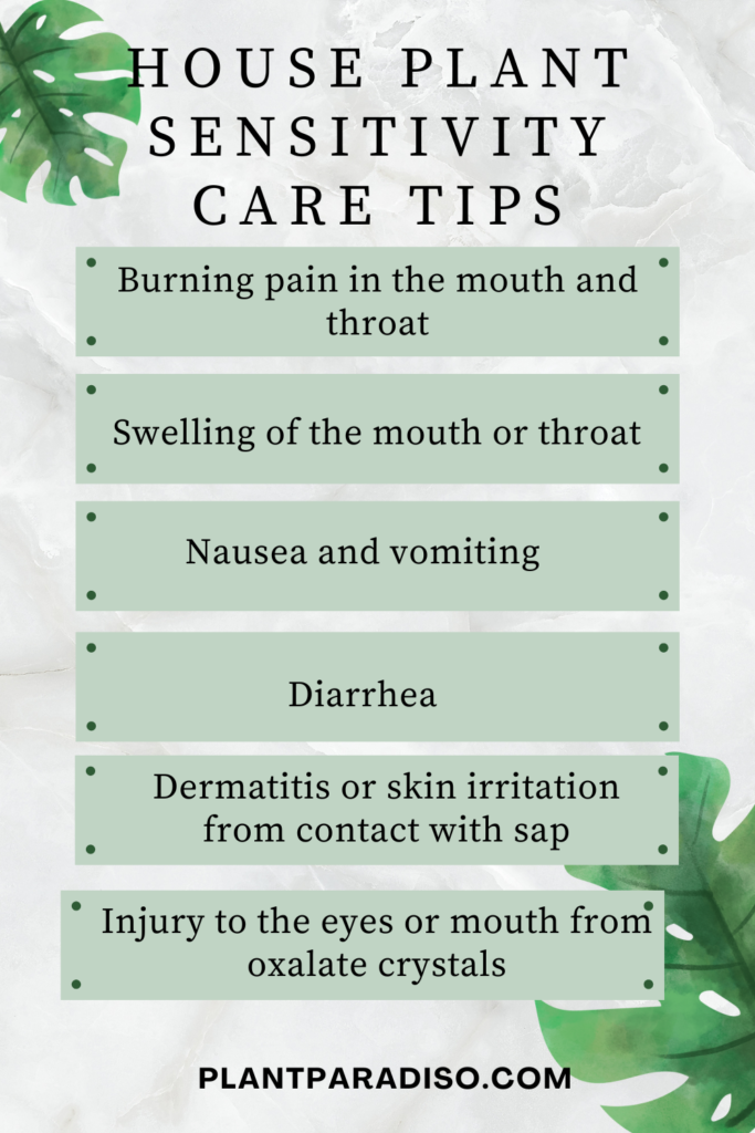 6 Major Symptoms of Alocasia Poisoning