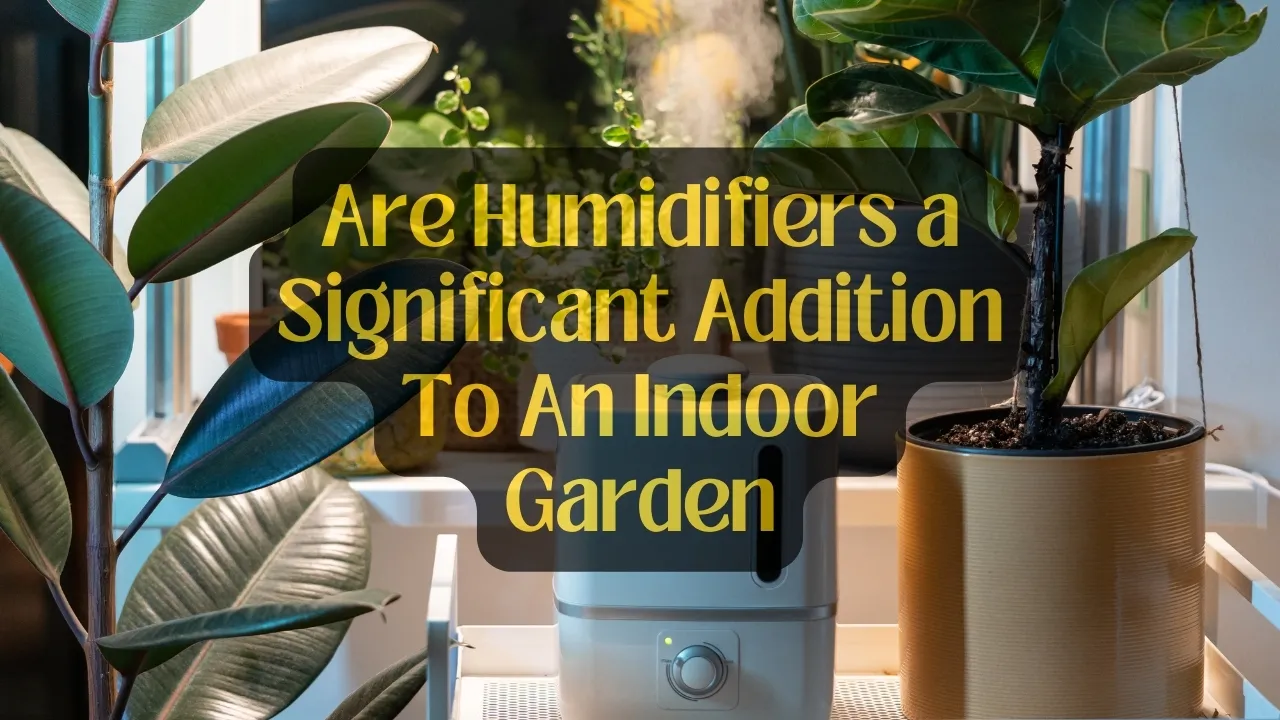 Are Humidifiers a Significant Addition To An Indoor Garden