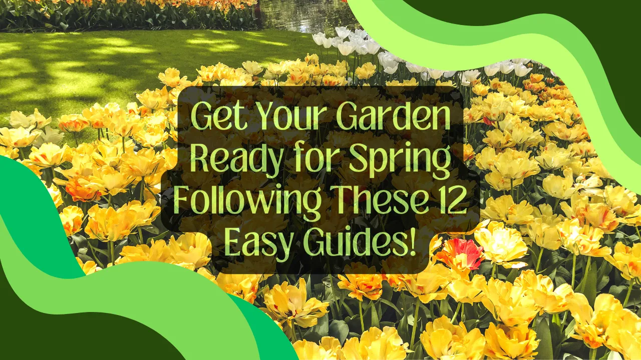 Get Your Garden Ready for Spring