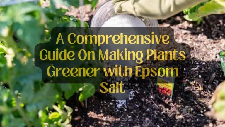 A Comprehensive Guide On Making Plants Greener with Epsom Salt