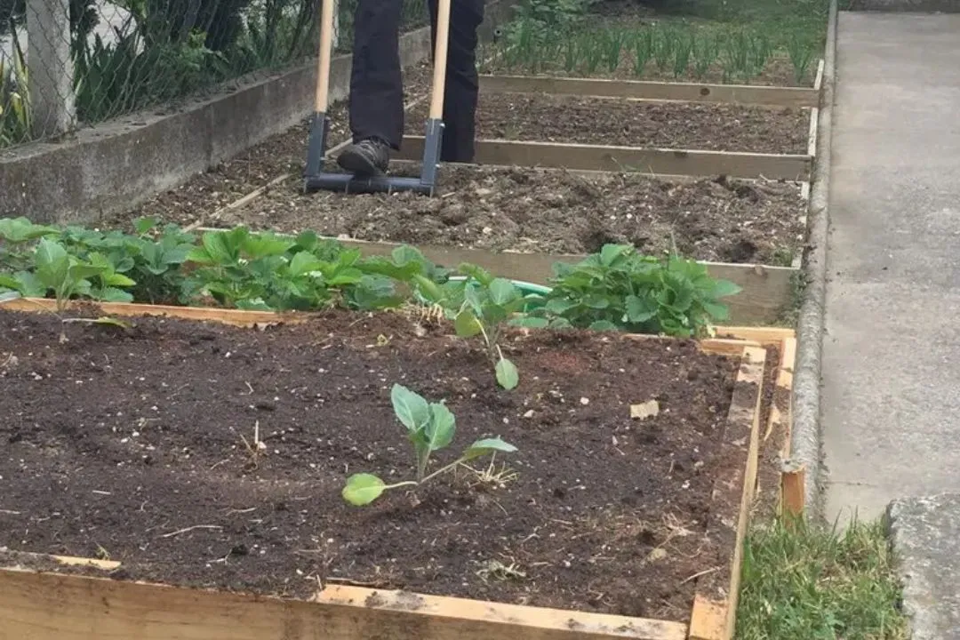 Prepare the Beds for garden