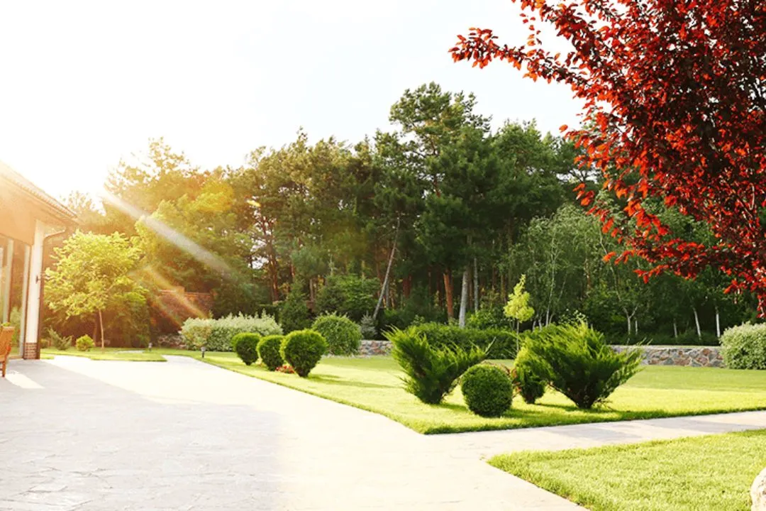 Reassess Sun Exposure for garden