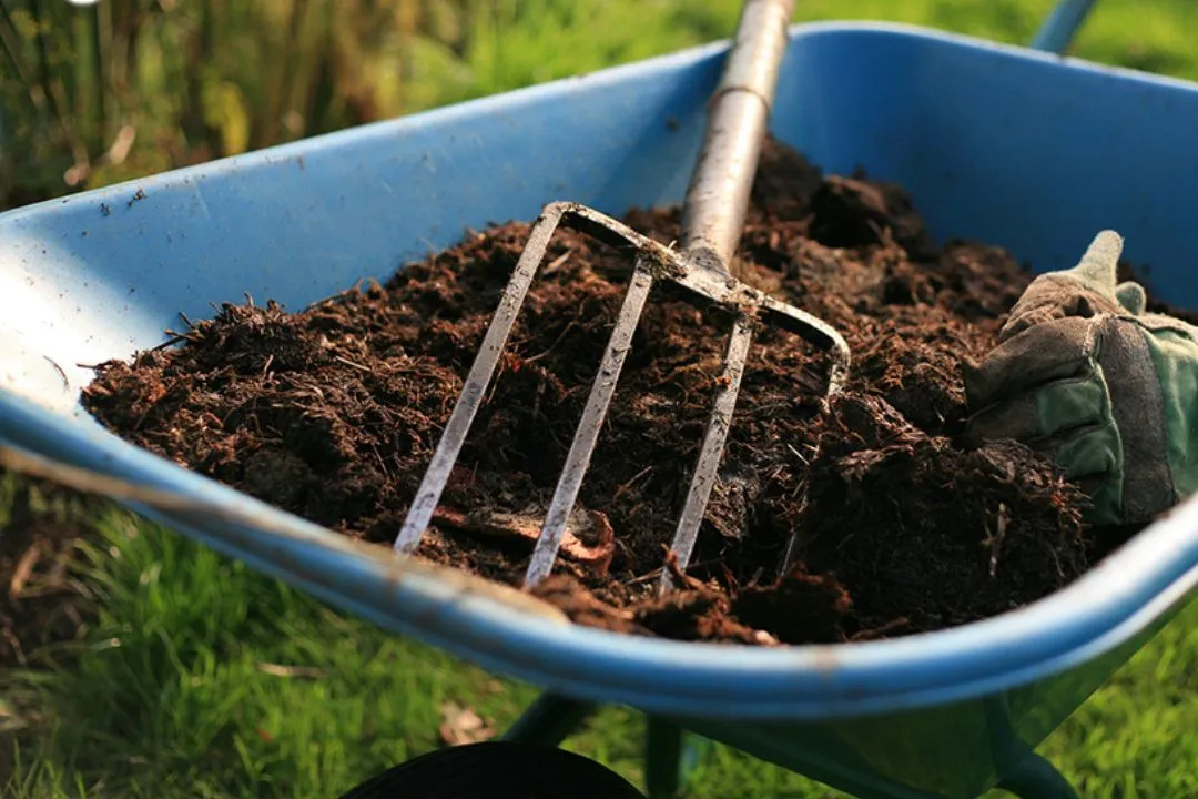 Sort Out Compost for garden