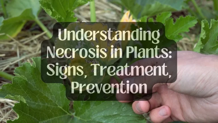 Understanding Necrosis in Plants: Signs, Treatment, Prevention