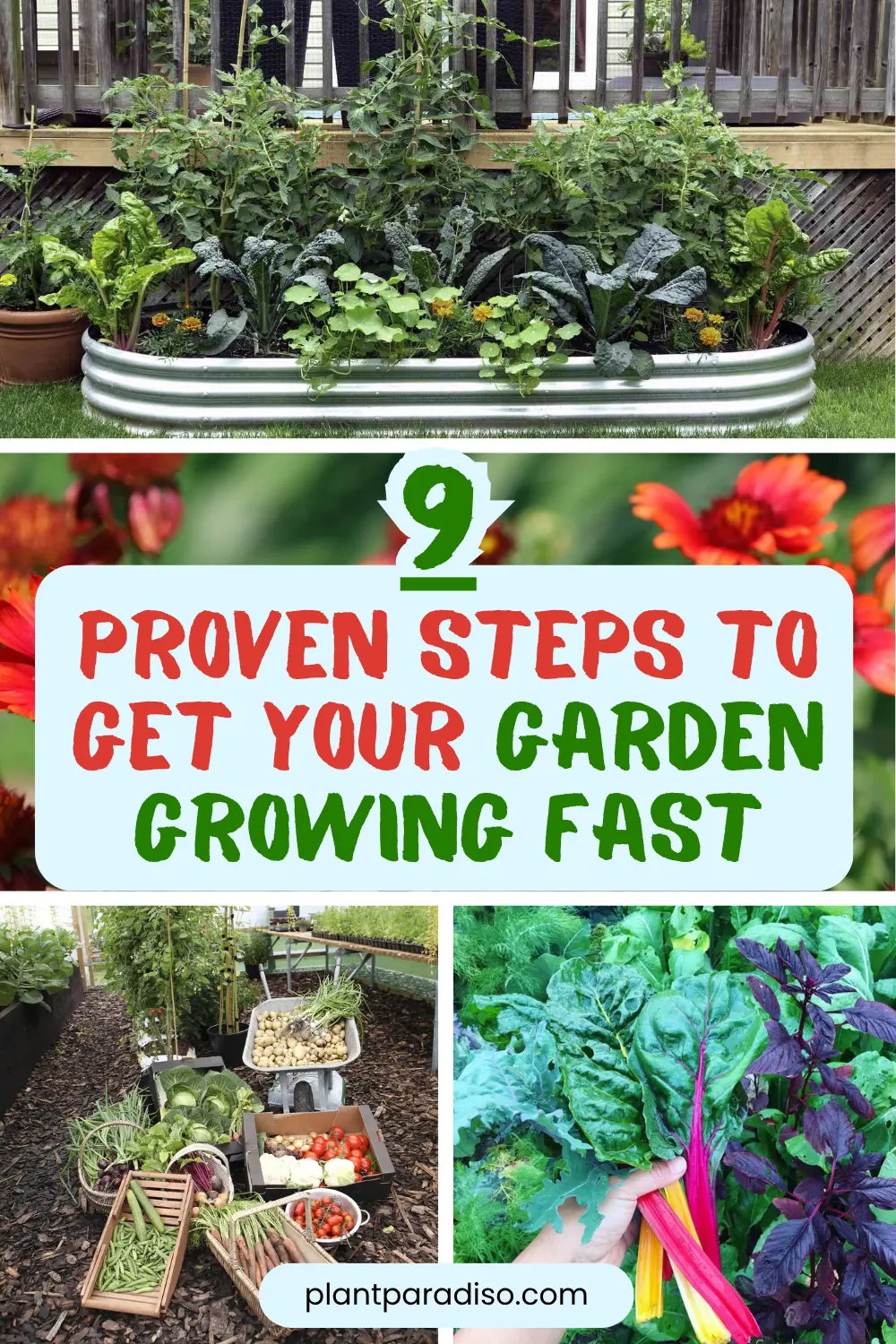 Garden Growing