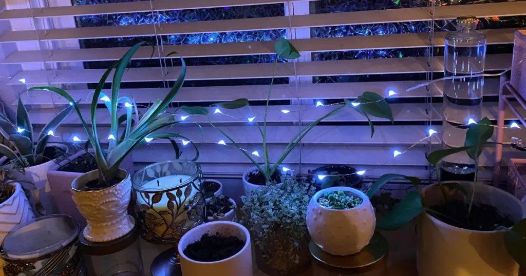 Are LED Lights Good for Plants