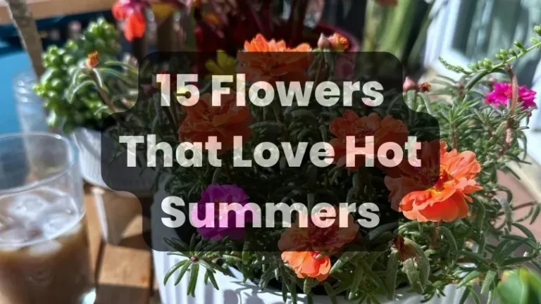 15 Flowers That Love Hot Summers