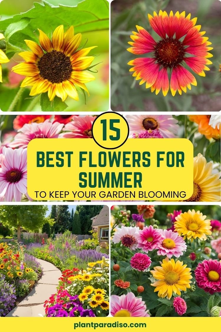 Flowers That Love Hot Summers