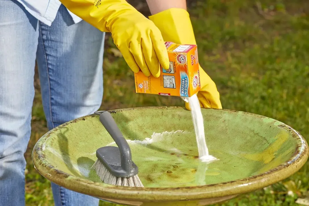 Need to Clean Birdbaths and Fountains