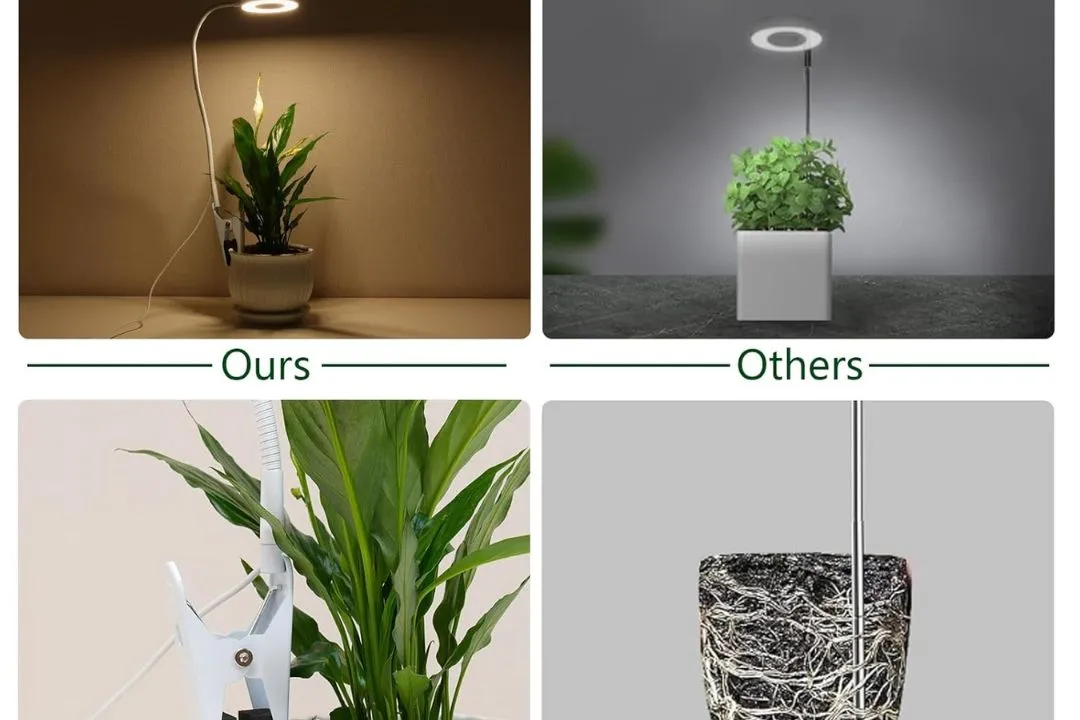 Choose Your Space