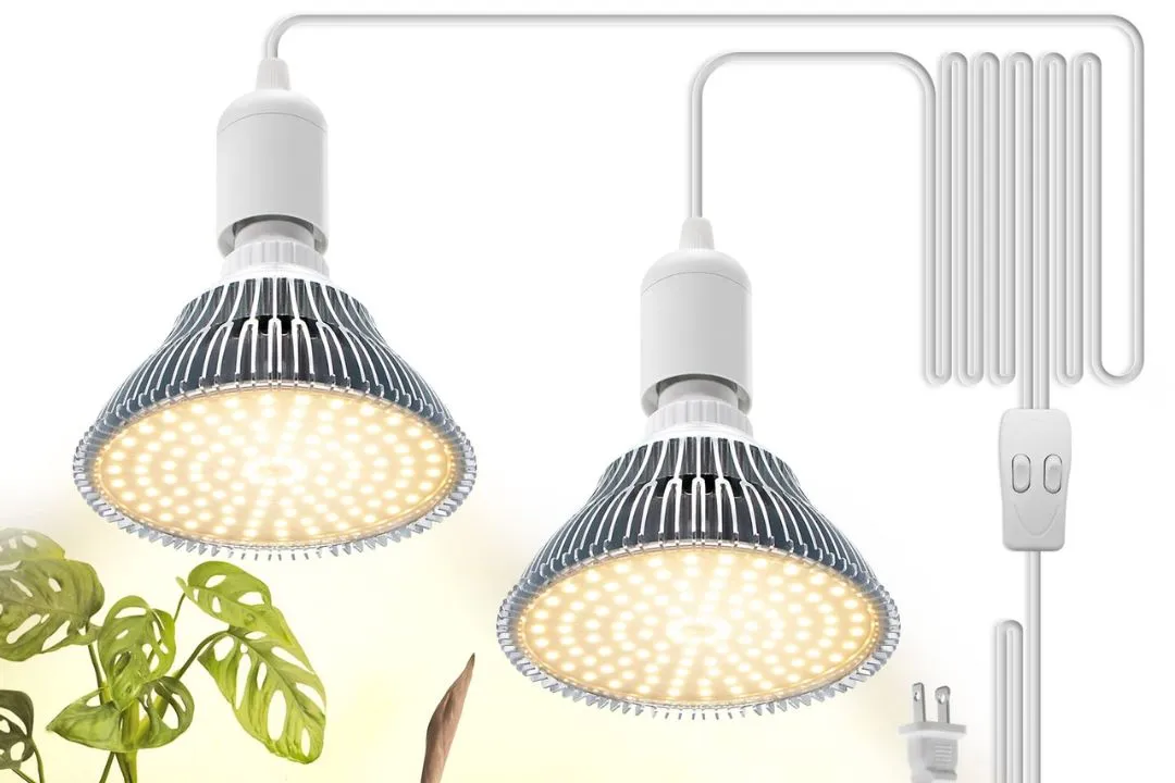 Hanging Your Light  for You Indoor Grow Light