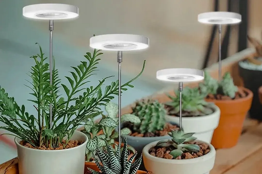 Manage Extras for You Indoor Grow Light