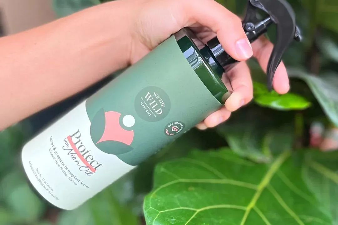 Neem Oil Spray