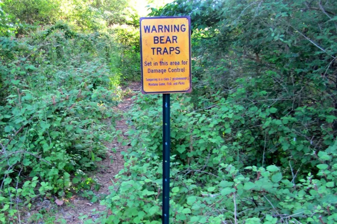 Traps with Caution