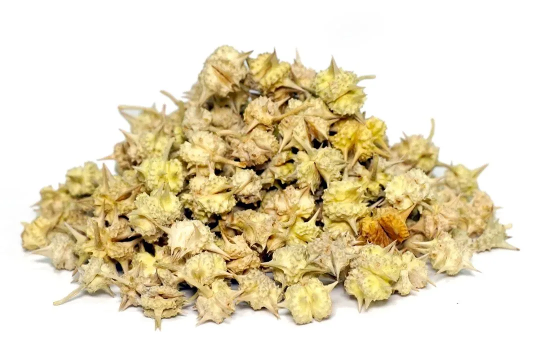 Tribulus Terrestris: Enhancing Ovulation
