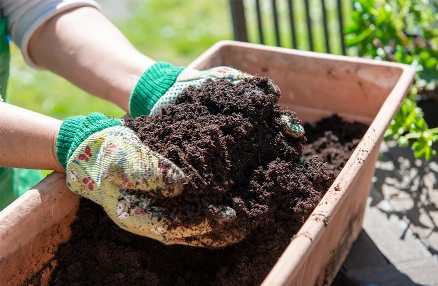 Revive potting soil