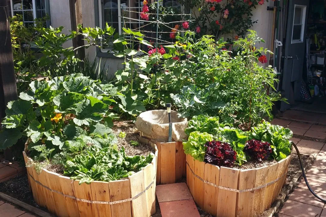 Container Garden Clusters