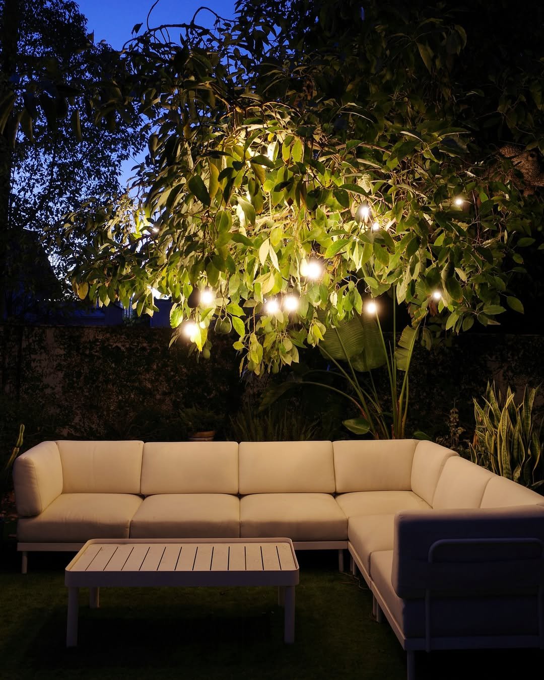DIY Backyard Hang String Lights for a Magical Glow
