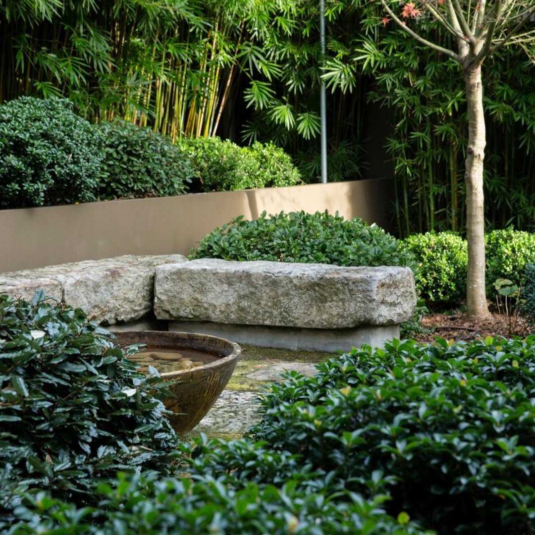 Peaceful Zen Garden Focus on Minimalism 