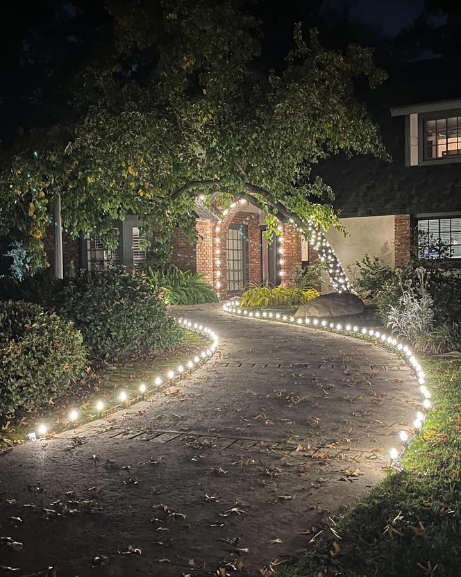 Peaceful Zen Garden Low-Profile Lighting 