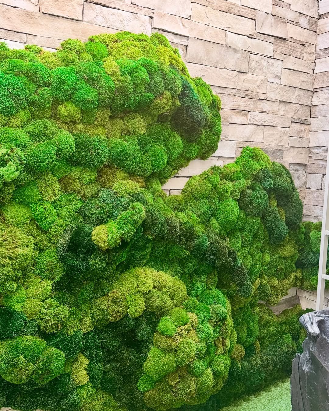  Peaceful Zen Garden Moss for Texture
