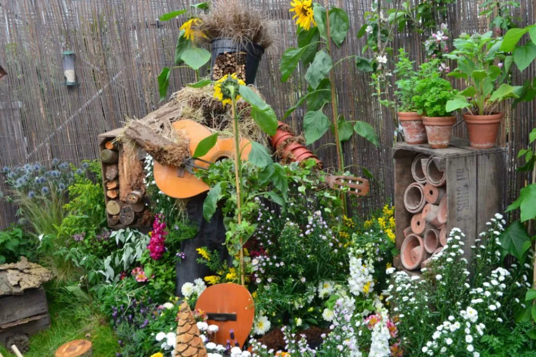 Wildlife-Friendly Haven