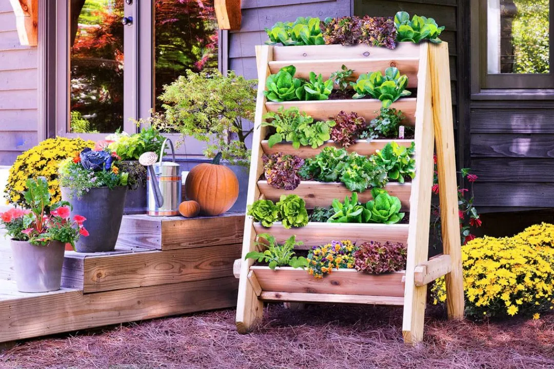 Vertical Herb Garden