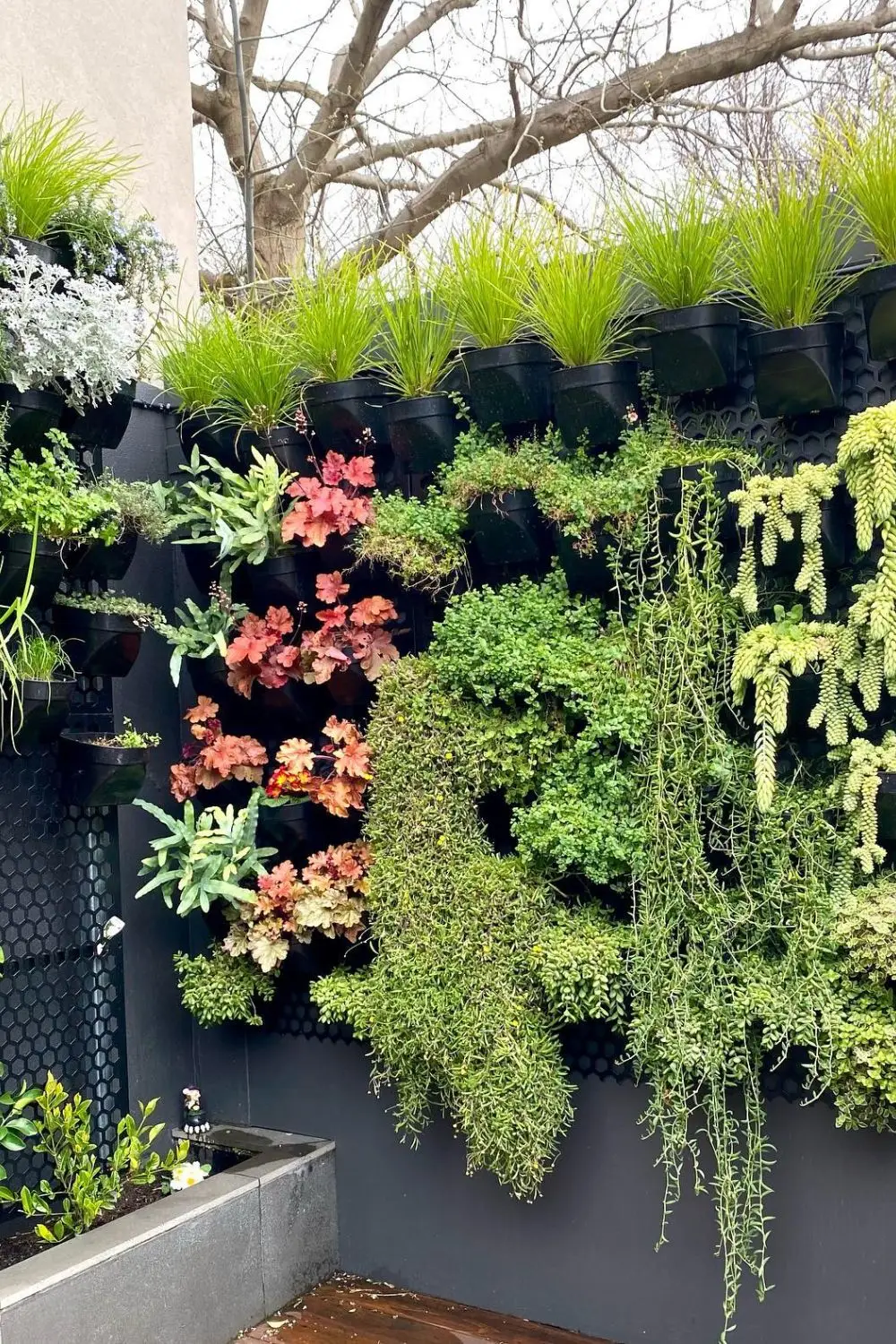 Vertical Corner Garden