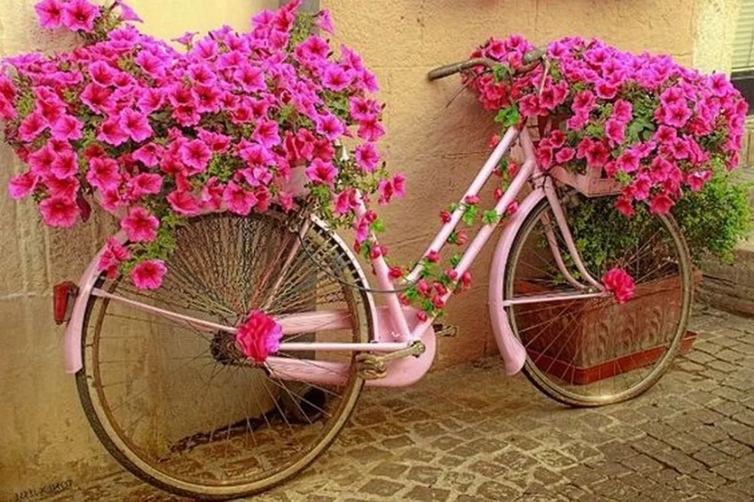 Antique Bicycle Planter