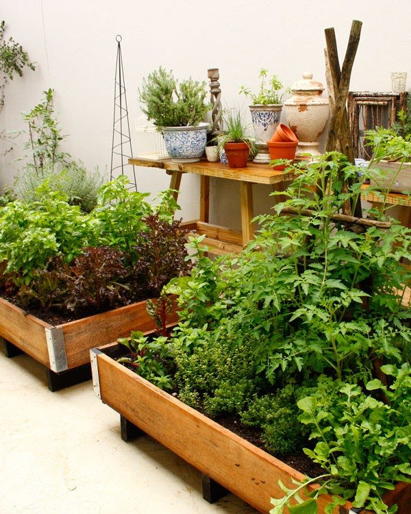 Small Backyard Landscaping Mini Food garden