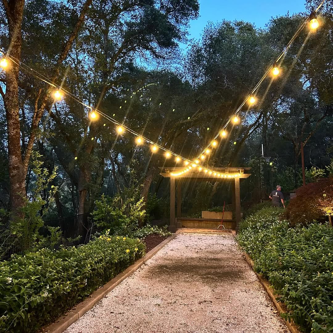 Backyard Landscaping Strategic Lighting Design in Garden