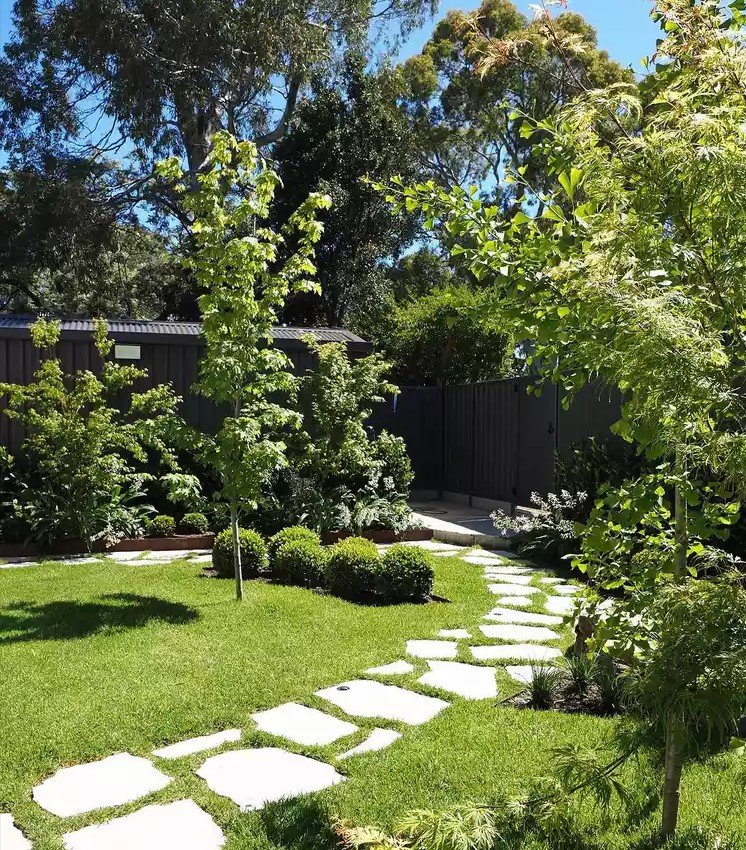 Narrow Backyard Pathway Throug Garden