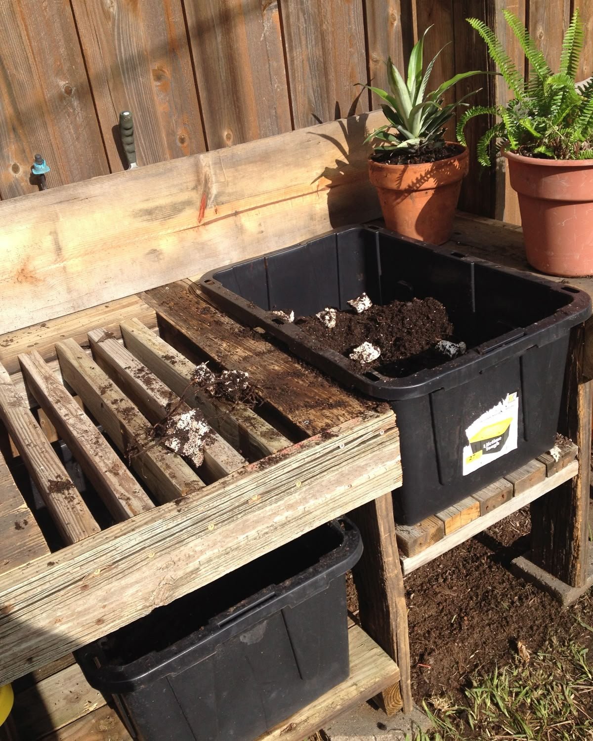 Compost Bin Potting Bench