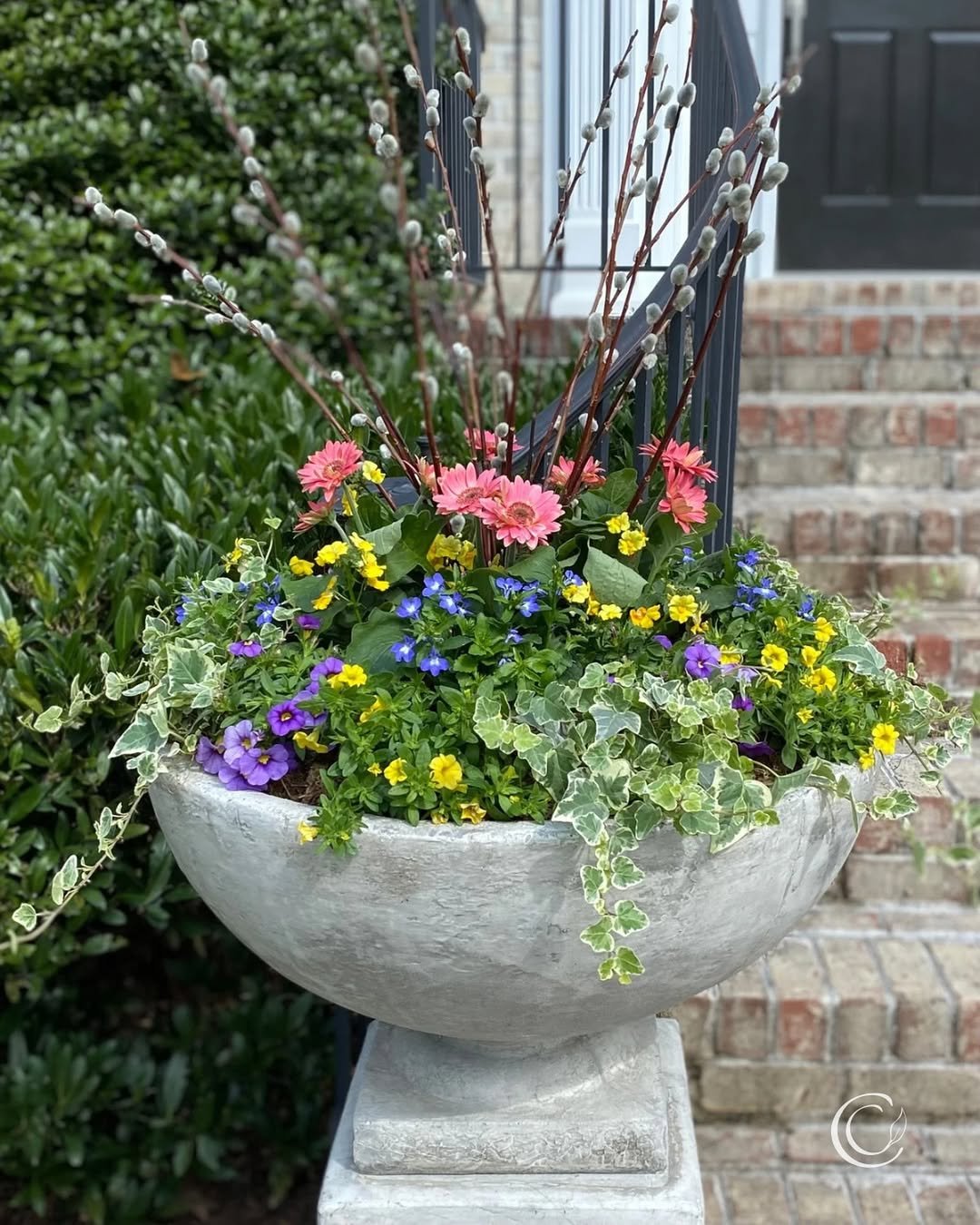 Backyard Makeover Container Garden