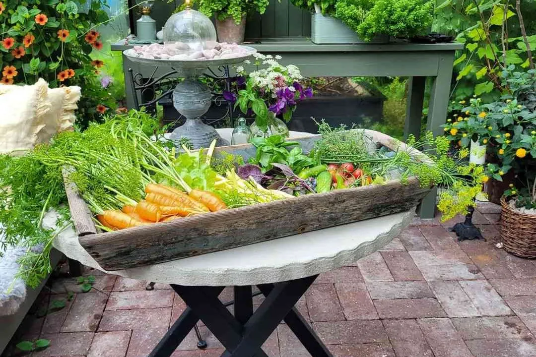 Container Vegetable Paradise