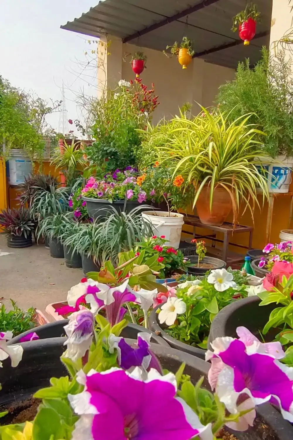 Corner Vegetable Garden