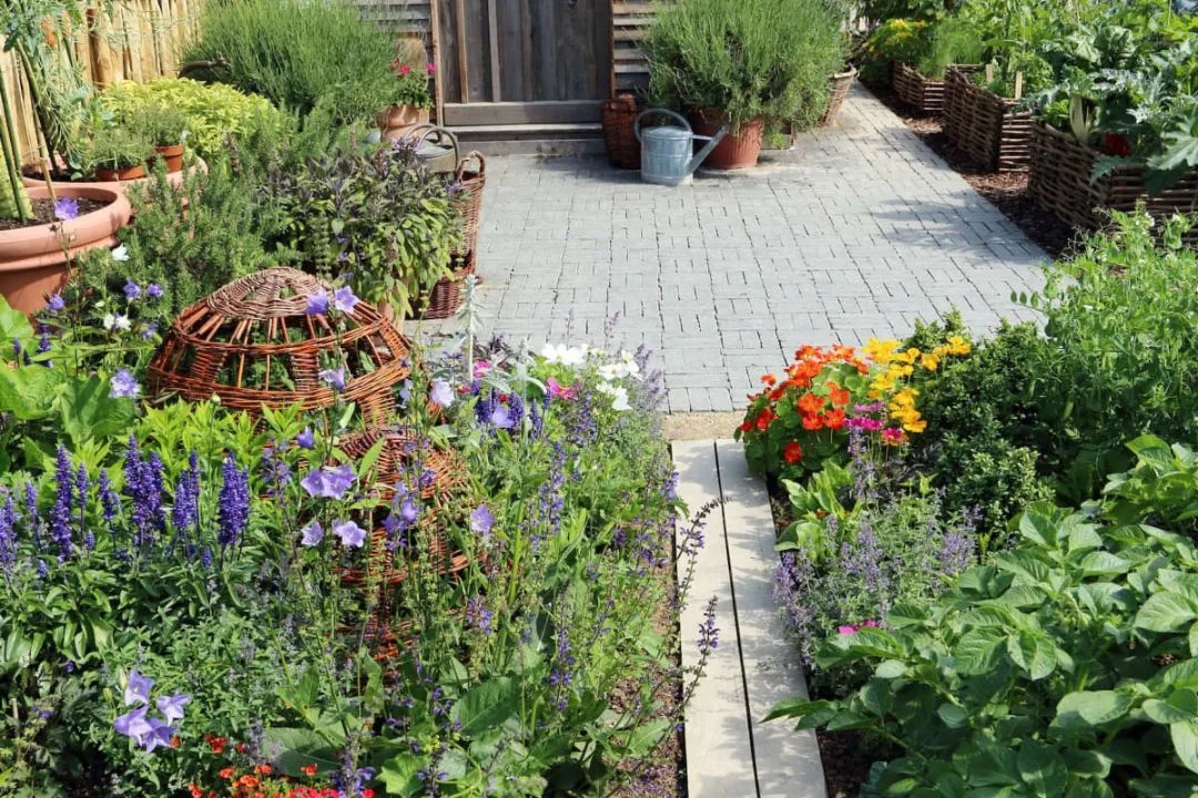 Edible Flower Garden