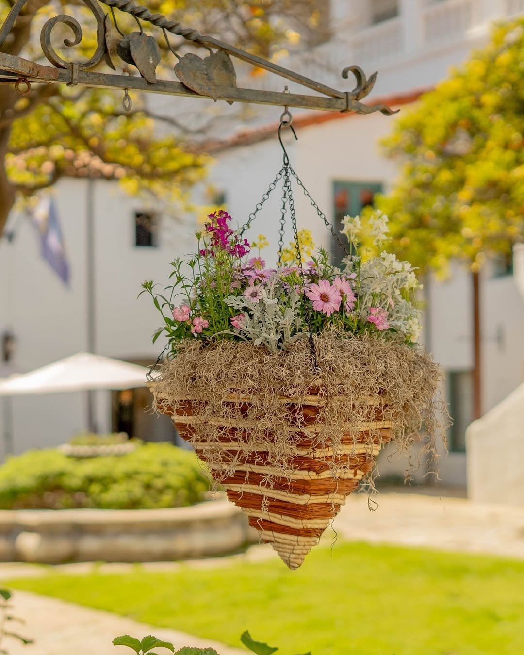Hanging Basket Extravaganza for Patio Garden