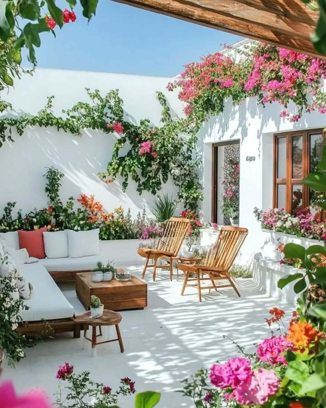 Mediterranean Herb and Olive Garden for Patio Garden