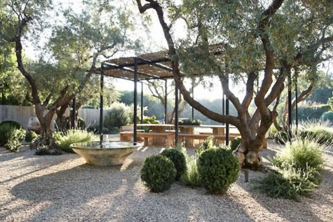 Mediterranean Herb and Olive Garden