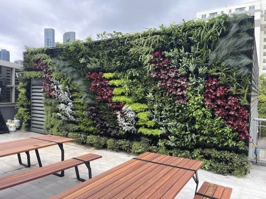 Backyard Makeover Out door Vertical Garden Wall