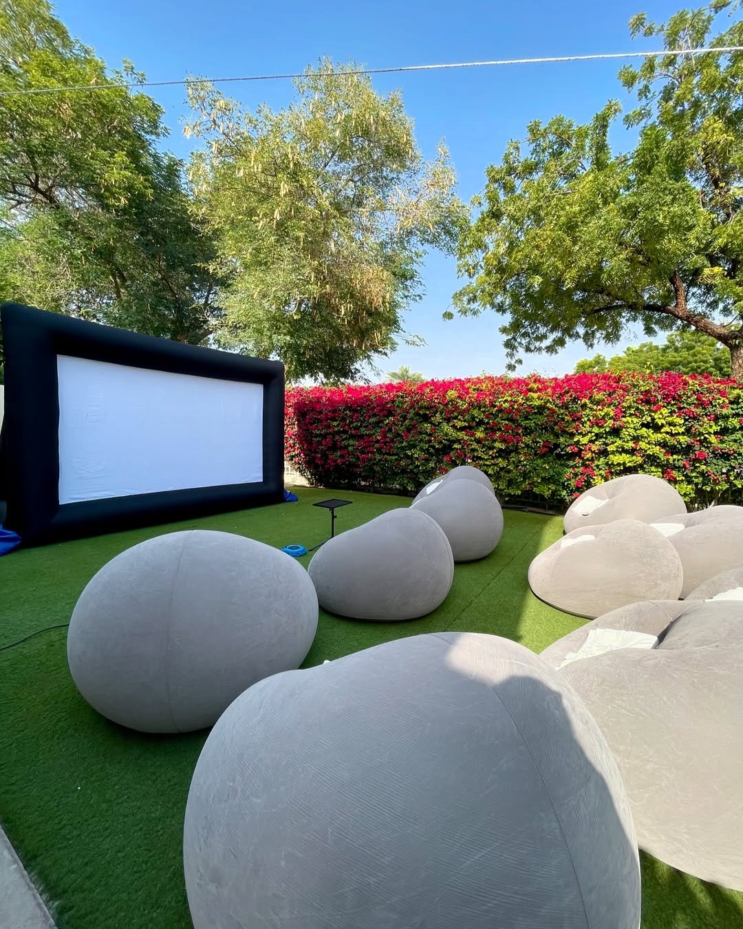 Backyard Makeover Outdoor Movie Screen in garden