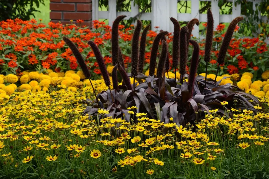 Pollinator-Friendly Garden