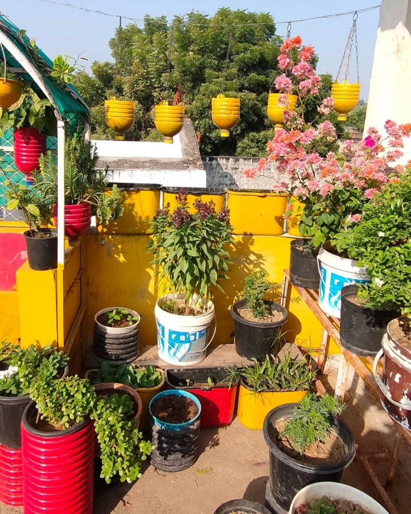Cozy Garden Nook Potted Plants
