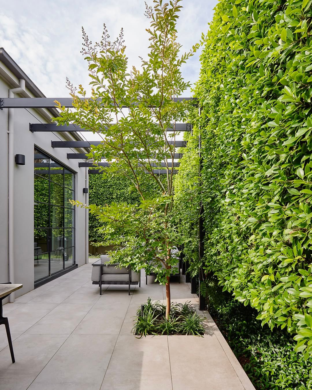 Secret Garden Tall Plants for Privacy